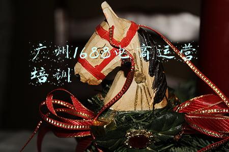 广州电商运营学校(被省台重点报道！广州这所大学火了)