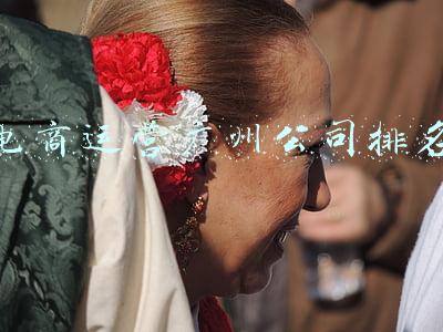 广州电商代运营公司(四家电商代运营商三季报PK：宝尊电商净利润巨降超550%…)