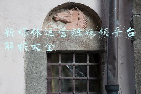 传统主流媒体短视频的运营策略(想要做好短视频，你要学会这3种方法)