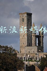 面试新浪新媒体运营