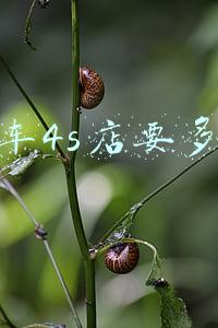 开家汽车4s店多少钱《开一家汽车4s店要多少钱》