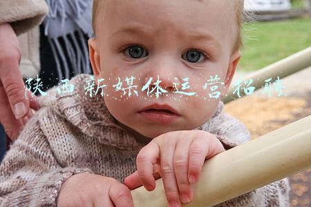 陕西新媒体运营招聘