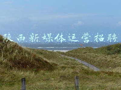 陕西新媒体运营招聘