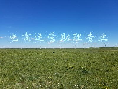 电商运营助理转正报告(试用期3个月，每天1000美金的业绩压力，我如何度过这一瓶颈？)