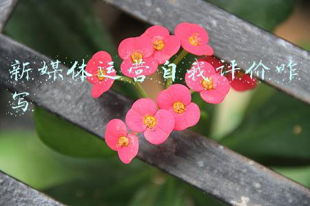 新媒体运营的自我鉴定(赴华冬奥记者发现“中国真清零了”，《纽约时报》播客节目主持人震惊)