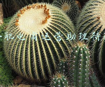 杭州电商运营助理工资(98年虎，毕业半年，干什么副业能月均收入6千以上？基金靠谱吗)