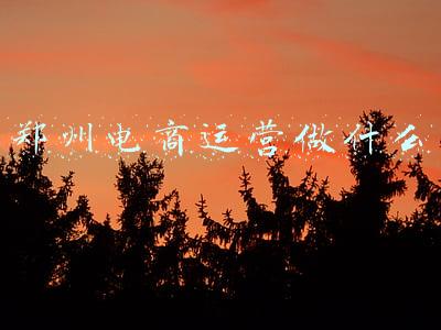 郑州电商运营做什么