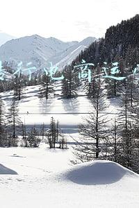 会计转行电商运营的感受