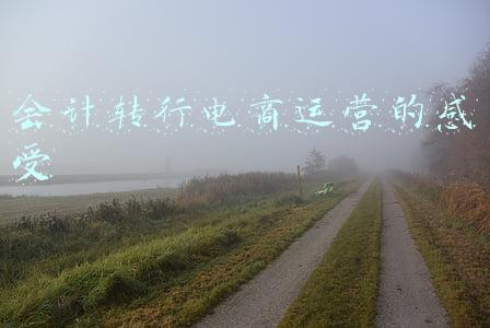 会计转行电商运营的感受