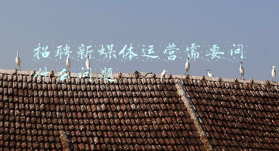 招聘新媒体运营需要问什么问题