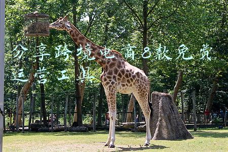 跨境电商一站式服务平台(工行推出一站式跨境电商综合金融服务平台)