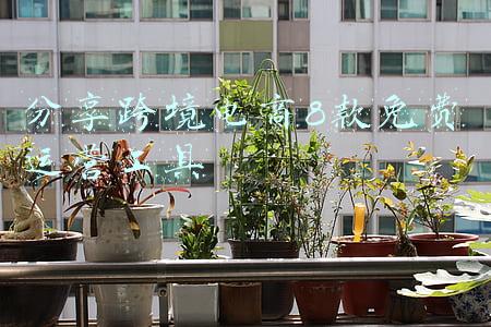 免费的跨境电商平台(六方面带你盘点2021年跨境电商独立站)