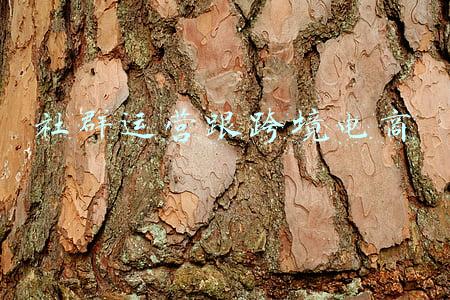 社群运营跟跨境电商
