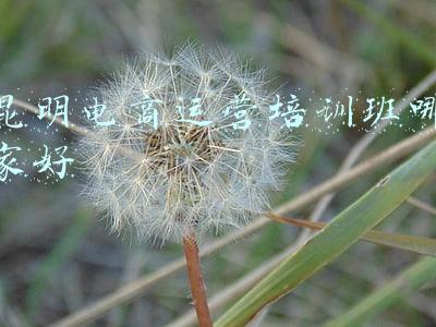 昆明电商运营培训班哪家好
