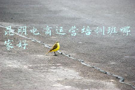 昆明电商运营培训班哪家好