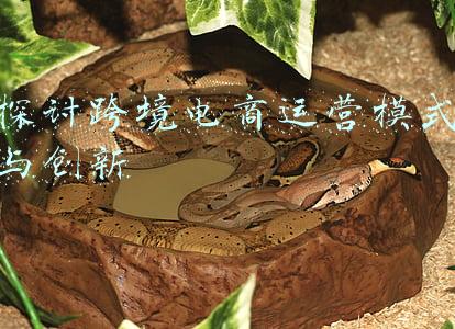 探讨跨境电商运营模式与创新