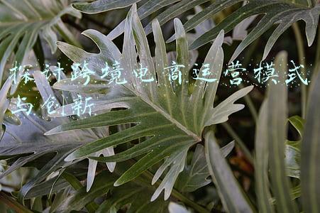 小学语文课堂模式探讨(核心素养理念下的小学语文教学方法再探析)