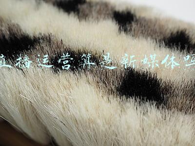 直播运营算是新媒体吗