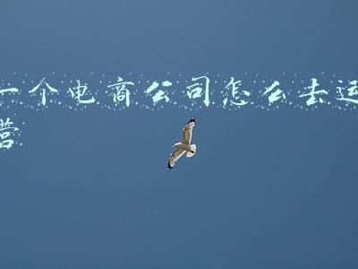 一个电商公司怎么去运营