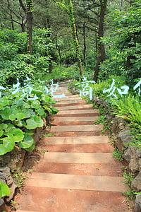 成都跨境电商可行性方案(成都跨境电商实火，有何秘诀？)