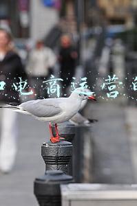 电商和外贸的区别(跨境电商与外贸的区别)
