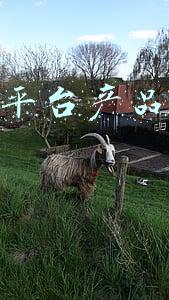 一亩田农产品交易平台(农机商家请注意！一亩田推出农机交易榜，免费送百万流量资源)