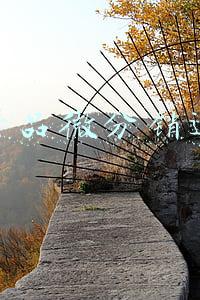农产品微分销运营