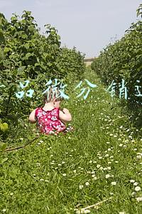 农产品微分销运营