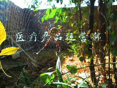 医疗产品设计(小型医疗设备设计，便携式医疗器械产品外观设计)
