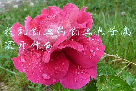 创业这条路(年轻人你为什么要创业，这条路真的能让你赚钱吗，还是别做梦了)