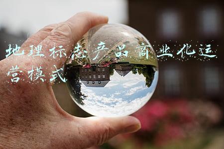 地理标志产品商业化运营模式