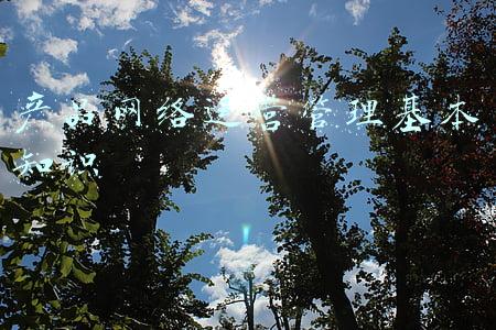 产品网络销售平台(累计销售额31.75亿元，湖北“832平台”领跑全国，为脱贫地区农副产品拓销路)