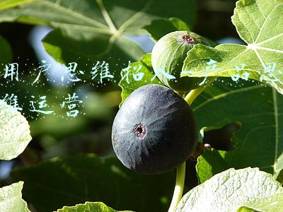 用户思维是什么(一个故事，让你明白什么是用户思维)