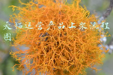 天猫运营产品上架流程图