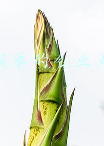 最简单的传感器(传感器被誉为“电五官”，全球十大顶尖传感器是哪些？)