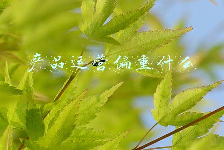 产品运营偏重什么