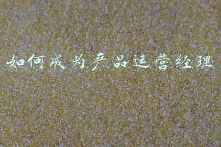 如何做好一个产品经理(一个产品经理，写下的30条调皮经验)