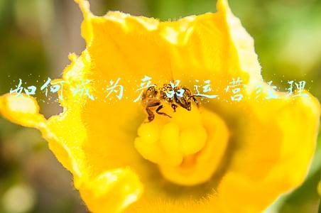 如何成为产品经理(努力做到这6点，你也可以成为一名高效的产品经理)
