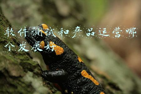 软件测试和产品运营哪个发展好