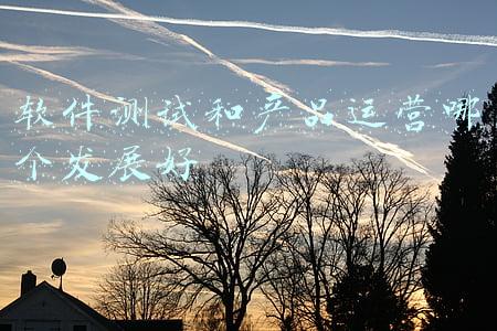 软件测试和产品运营哪个发展好