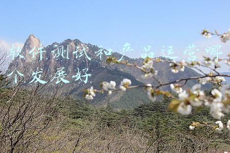 软件产品登记测试机构(足不出“虎” | 查措施？查重名？查政策？来这里，我教你↑)