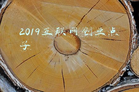 2019互联网普及率数据(中国互联网普及率为70.4%，手机上网人数达9.86亿人)