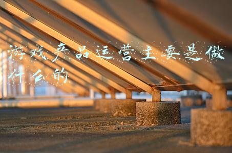 游戏产品运营主要是做什么的