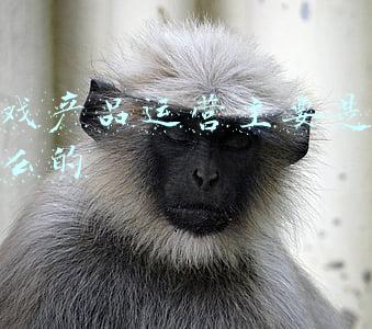 游戏产品介绍ppt(5000多字深度分析：从电视剧《鱿鱼游戏》看国内SaaS行业)