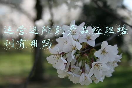 产品经理课程培训哪个好(「开课预告」NPDP产品经理认证培训班将于近期开课)