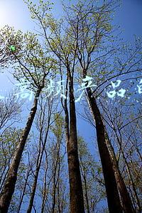低频消费品的营销(非常全的低频高价产品宣传营销技巧大全，看了少走弯路！)