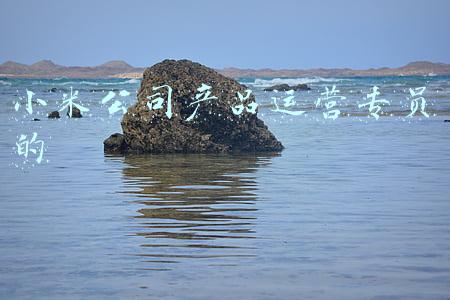 小米公司运营专员的工作内容(36氪独家 | 小米汽车急行军：计划2024年出车，三年卖90万辆)