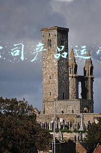 小米公司产品运营专员的 小米公司产品运营专员的