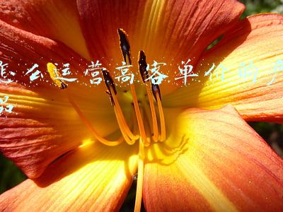 客单价比较高的产品(客单价45元，估值70亿！面中爱马仕谋上市)
