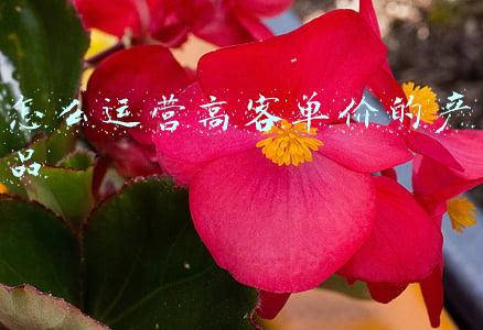 什么是客单价如何提高客单价(餐饮店如何提升客单价？这4个技巧值得收藏)